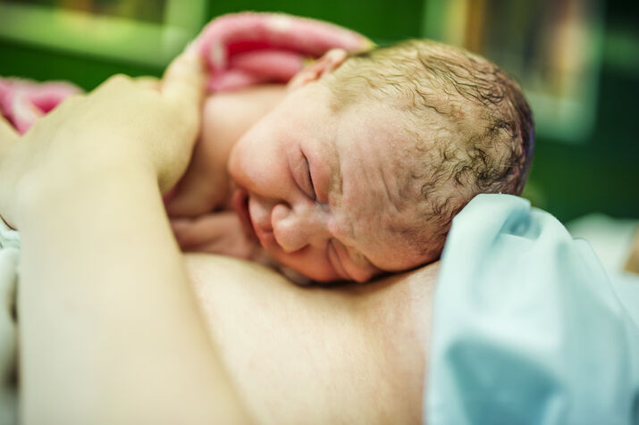 Freebirth Bay Delivery